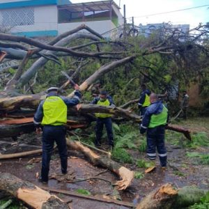 Colaboradores Municipales Fotos